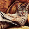 catgirl1234455
